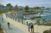 Monterey 004.jpg (75482 byte)